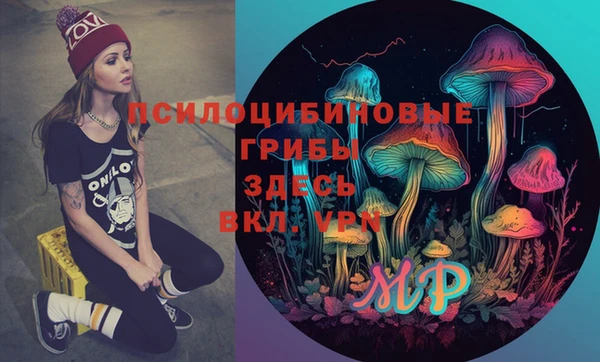 дживик Алзамай