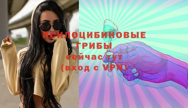 дживик Алзамай