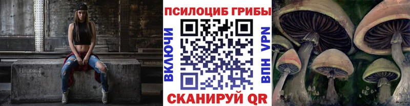 Галлюциногенные грибы Psilocybe  магазин продажи наркотиков  Апатиты 