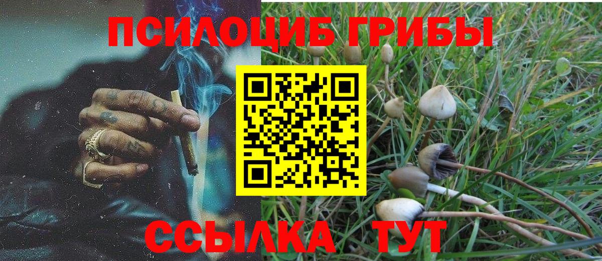 Апатиты  цена   Вход с VPN  Галлюциногенные грибы GOLDEN TEACHER 